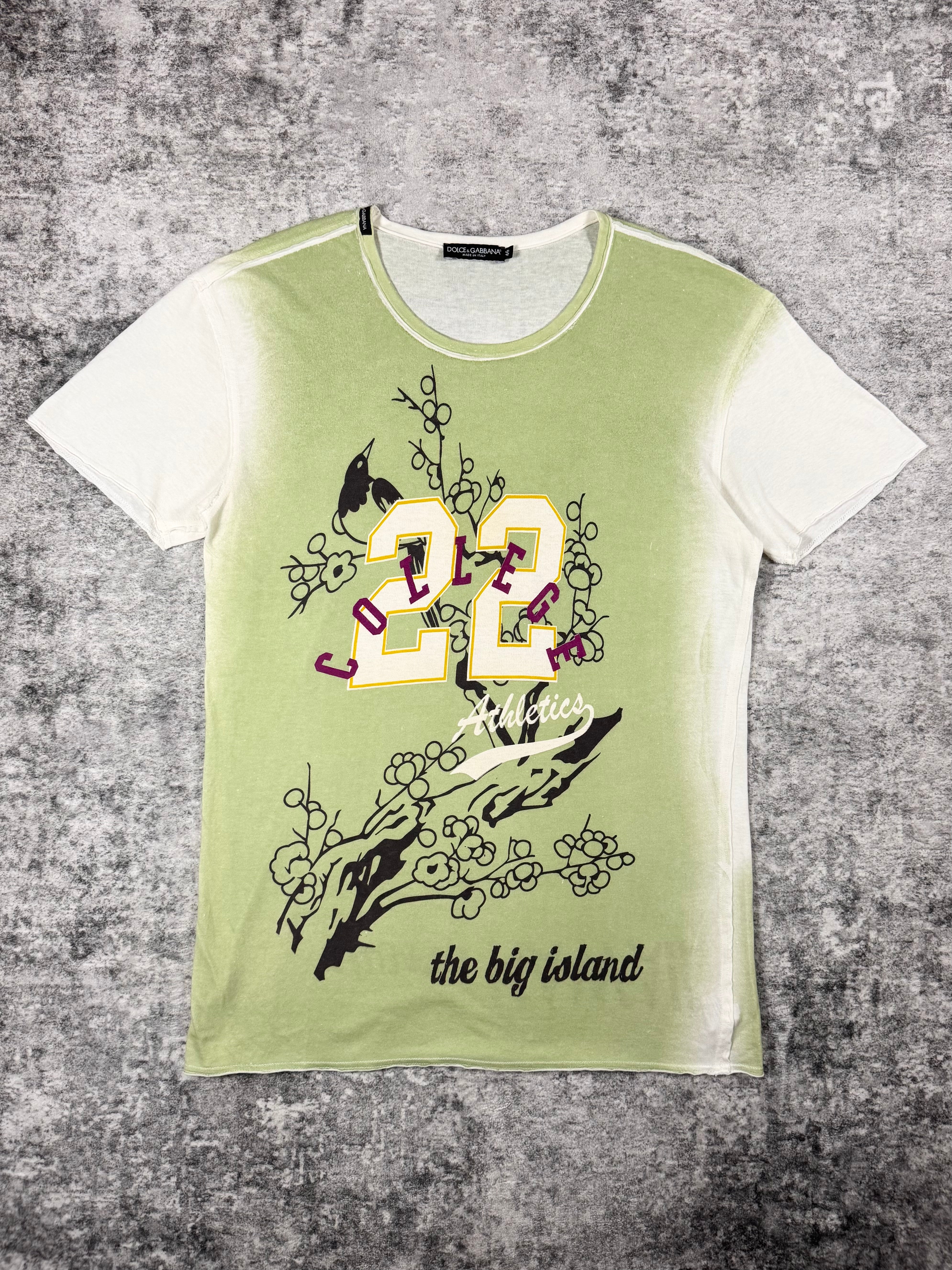 2000s Dolce & Gabbana Hawaii ‘College 22’ T shirt